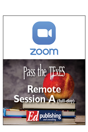 Full-day Remote Workshop via Zoom